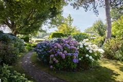 Tuin 5.jpg